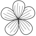 flower1 flower1