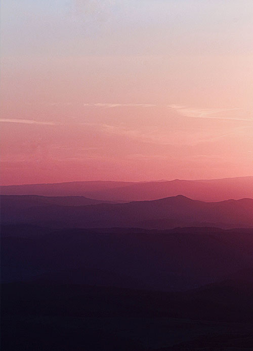 section-image-1